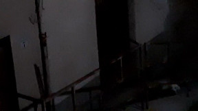 Strange creature at nightime!!!