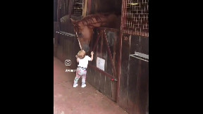 Best friends in the barn