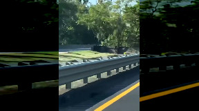 Fatal collision caused by wrong-way driver