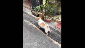 There is a solution for everything