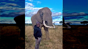 A hat trick of sorts