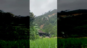 Landslide in Vietnam
