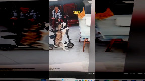 Well, there's something you don't see everyday