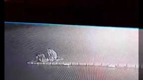 Man survives lightning strike