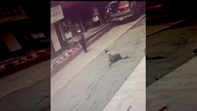 Woman Walking into Fresh Concrete