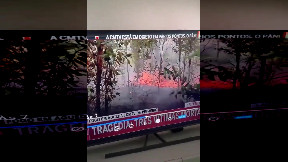 Man watches firefighters put out a fire then throws his cigarette right into the bushes