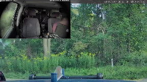 Bodycam shows woman biting officer, slips out of handcuffs, steals a police cruiser before crashing