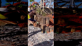Strange guest at construction site