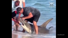 Removing a hook from a shark