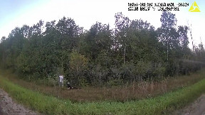 Door County Sheriff releases body cam of pig shooting, says it stands by deputy's decision