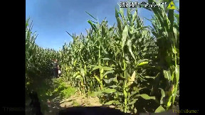 Bodycam shows the after Monroe County Sheriff's K-9 Bane finds a lost boy in a corn maze