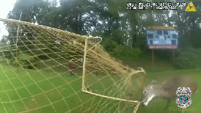 Anne Arundel police officer saves deer stuck in soccer net in Annapolis