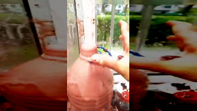 Homemade Wine