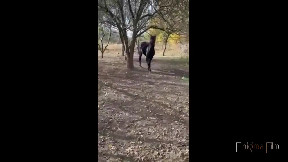 Newton is the horse's name