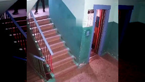 Man Rescues Dog Hanging From Elevator