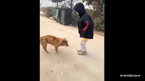 Dancing feet