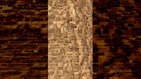 More dogs have been seen at the great pyramid of Giza