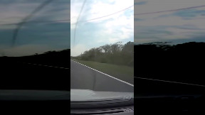 Bird drops rock onto windshield