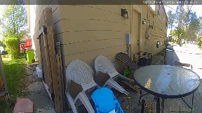 Bodycam video shows Sterling Heights police save man, dogs from house fire