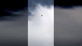 Aerobatic Pigeon