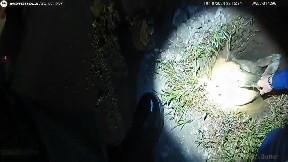 Michigan state trooper rescued a dog stuck in a gas line hole in Berrien Co.