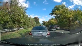 Insurance Scam
