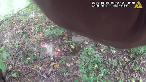 Fairfield police release dash and body camera videos from arrests in stolen vehicle, crash, arrests