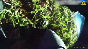 Police bodycam shows officers are punched and pinned to the ground after pulling a driver over