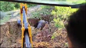 Rescue of Elephant Trapped in Well
