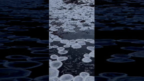 Ice 'jellyfish'